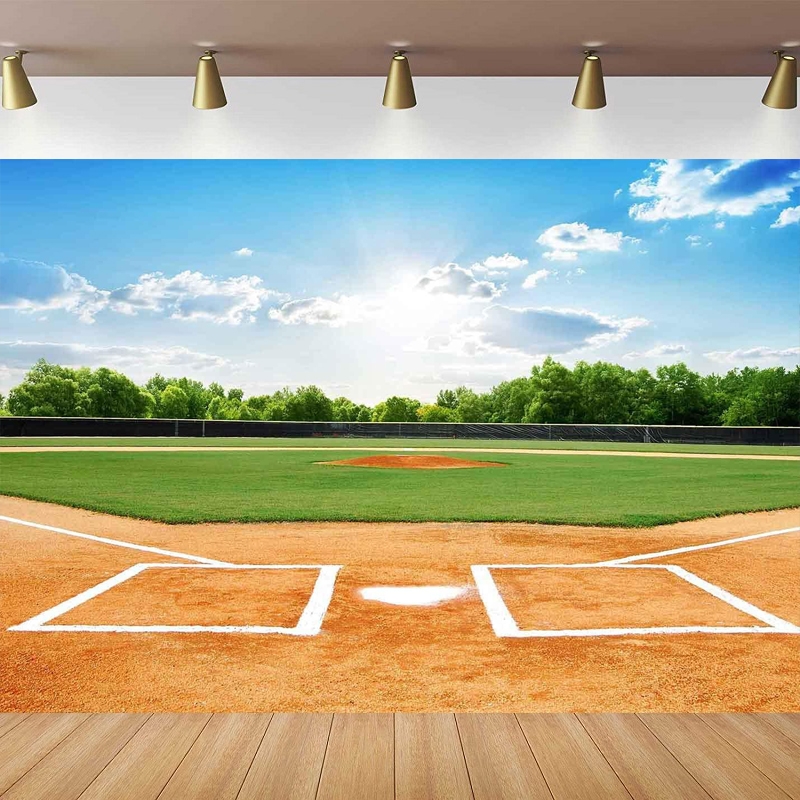 Baseball Field Photography Bac - Outdoor Sport Background reseña y precio